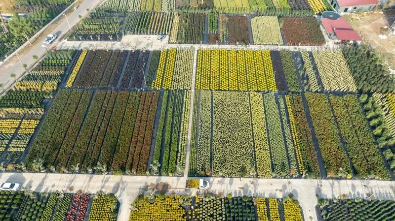 Vivero Mediterráneo Verde