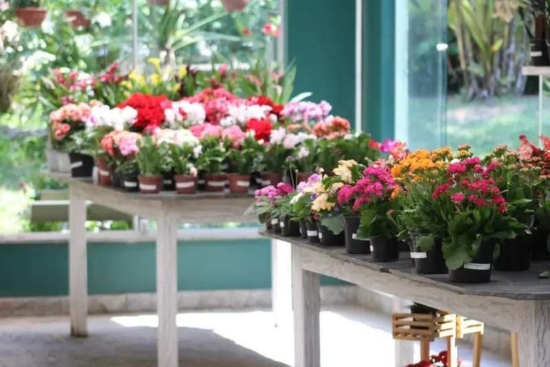 Ideas para crear rincones verdes en terrazas y balcones