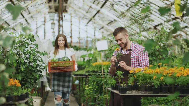 Sustratos, abonos y productos fitosanitarios autorizados